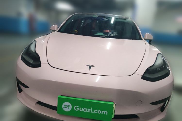 Used Tesla Model 3 2020 Standard Range Rear-Wheel Drive Upgraded Version Front