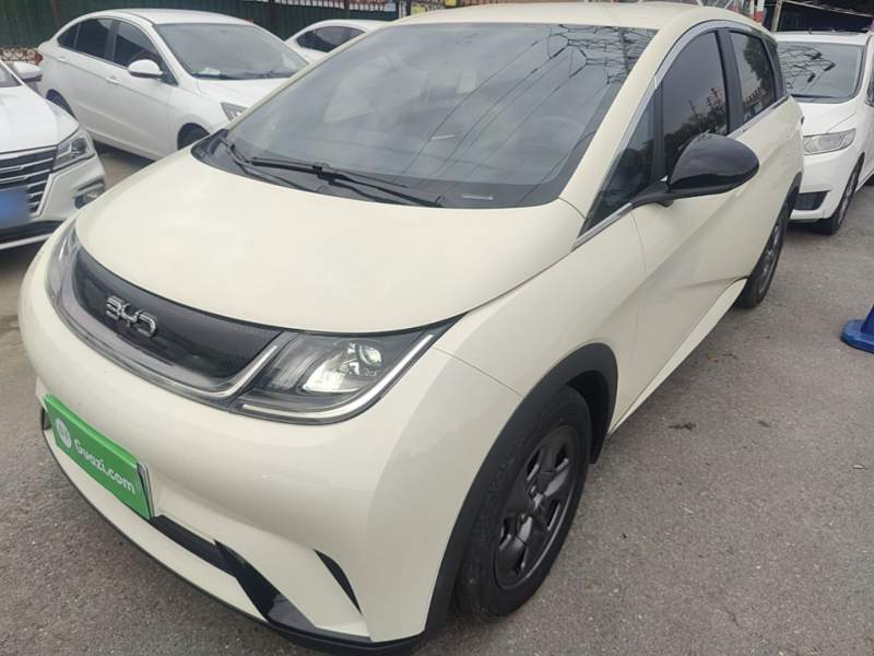 Used BYD Dolphin 2024 Honor Edition 302km Dynamic Version — 1