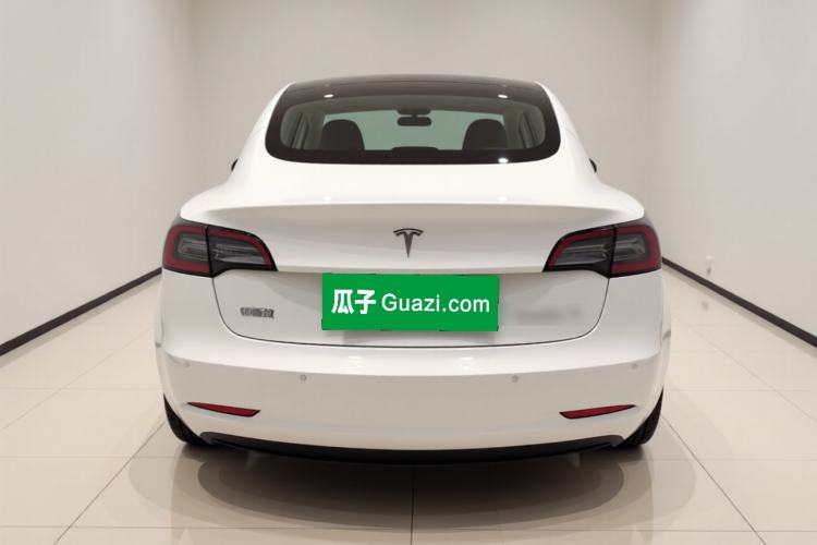 Used Tesla Model 3 2020 Standard Range Rear-Wheel Drive Upgraded Version Rear