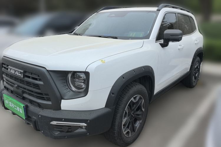 Used Haval DARGO 2024 2.0T DCT Chinese Rural Dog Edition