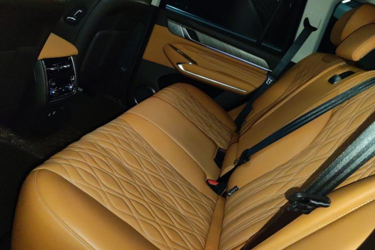 Used Tank 500 2022 3.0T Sport Edition "Creation" Version 5-Seater Left Rear Seat