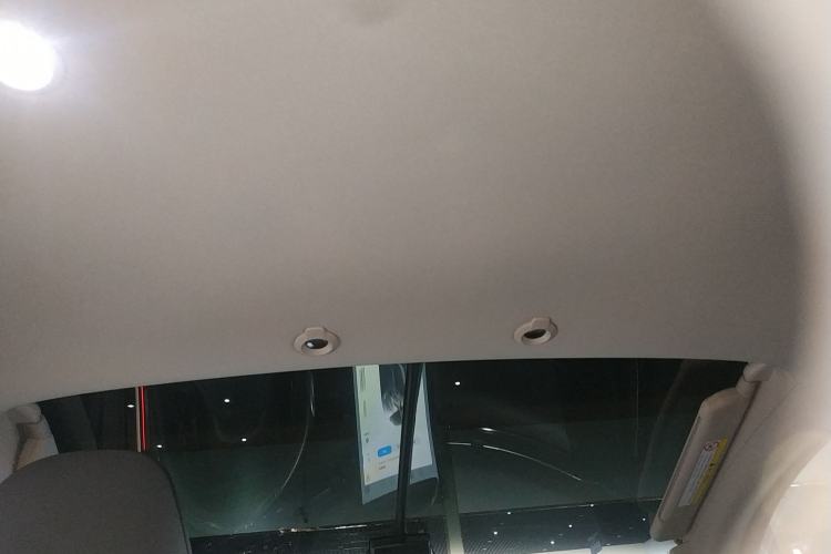 Used XPeng G3 2020 520i Luxury Edition Headliner