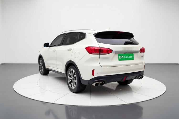 Used Wey VV6 2018 2.0T Two-Wheel-Drive Ultra-Luxury Version China V Standard Exterior 3