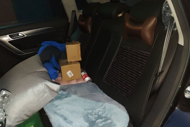 Used Haval H6 Coupe 2018 Blue Label 1.5T Automatic Two-Wheel Drive Luxury Model Left Rear Seat