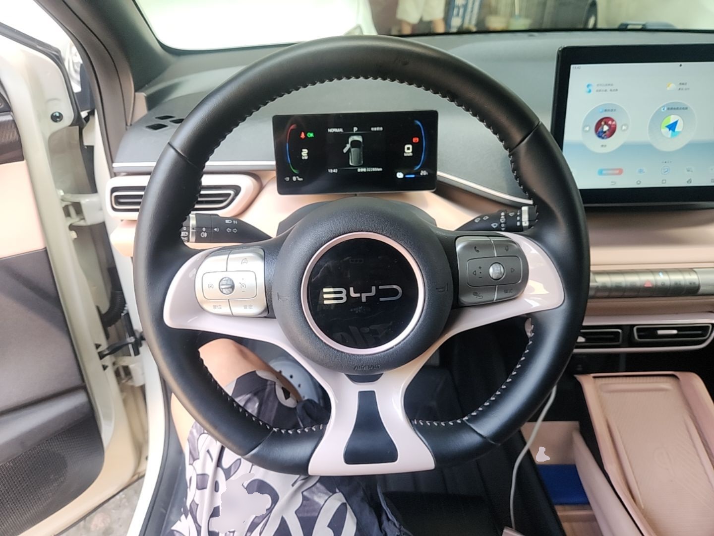 BYD Seagull 2024 Honor Edition 305km Freedom Version — снимка 13