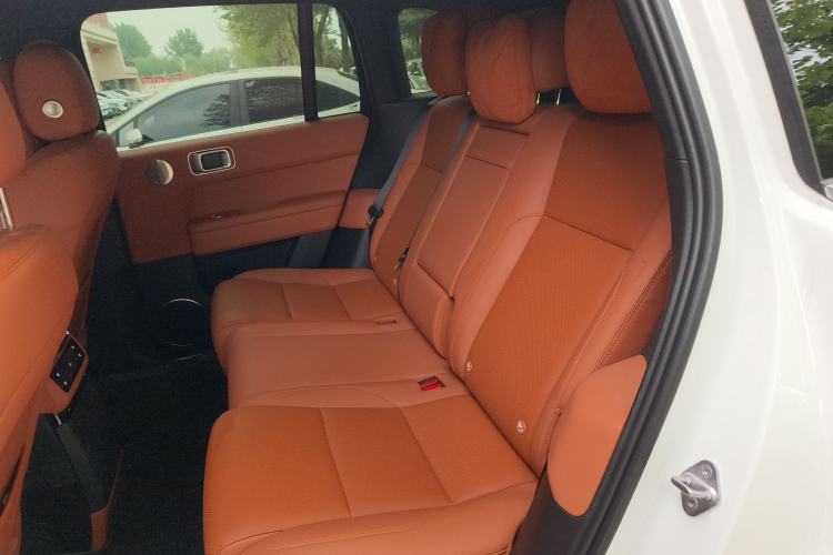 Used Li Auto L6 2024 Max Left Rear Seat