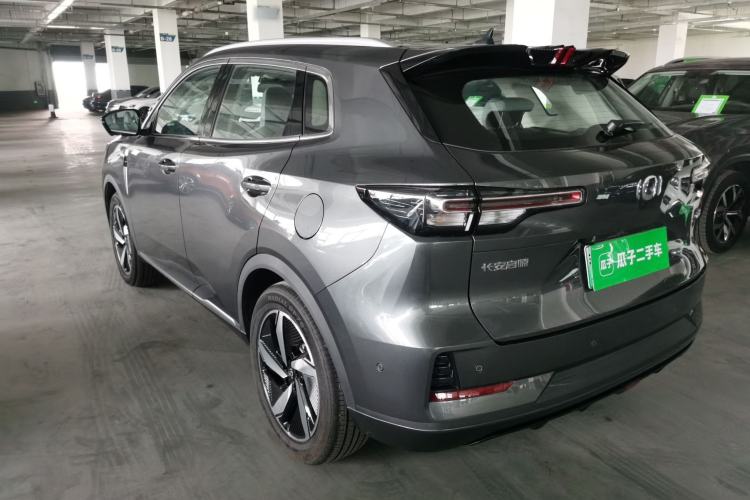 Used CHANGAN NEVO Q05 2024 Truly Delicious Version 125 Excellence Edition CATL Exterior 1