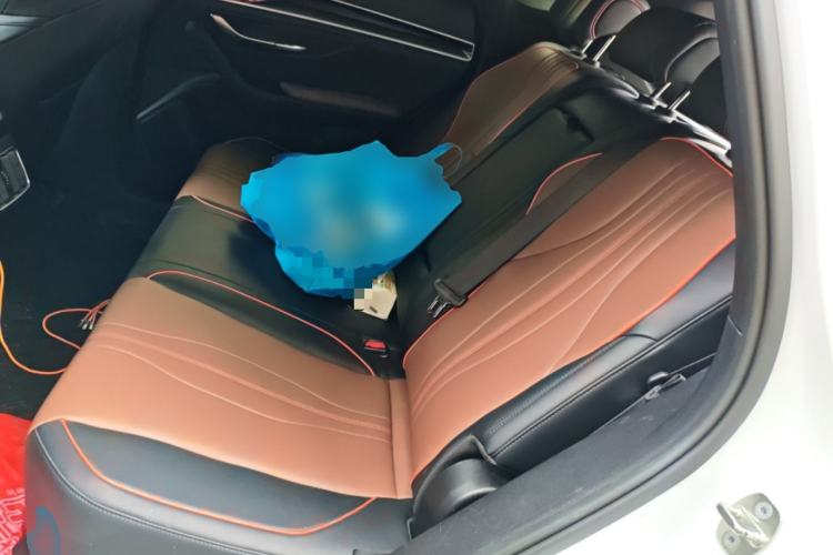 Used BYD Song PLUS 2020 1.5T Automatic Flagship Edition Left Rear Seat