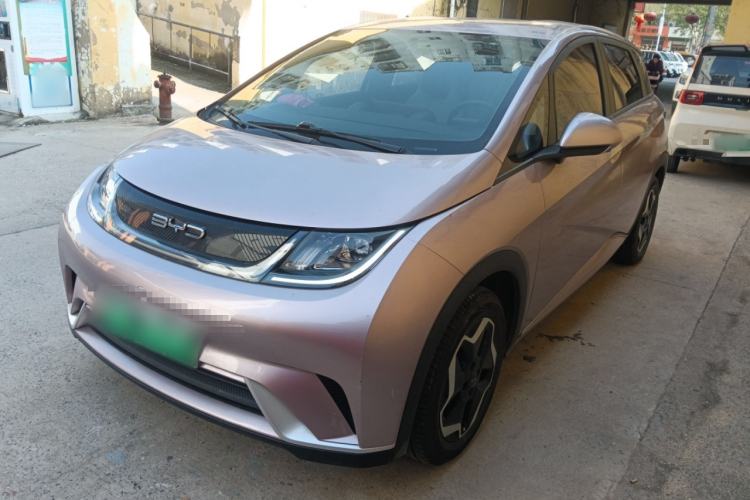 Used BYD Dolphin 2021 405 km Free Version
