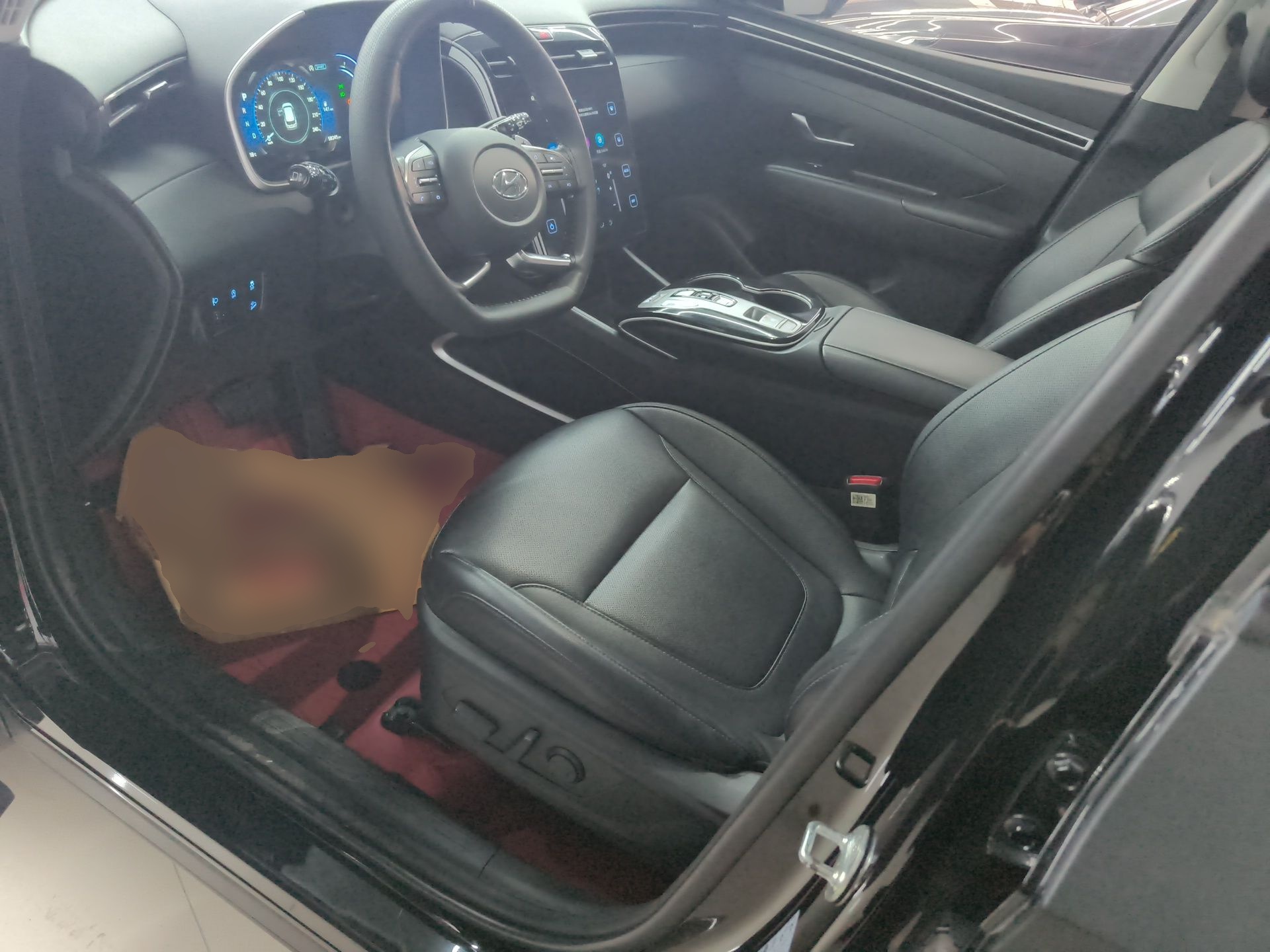 Interior delantero