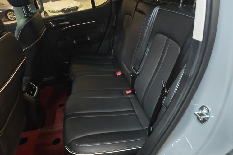 Used Tank 300 2024 2.0T Conqueror