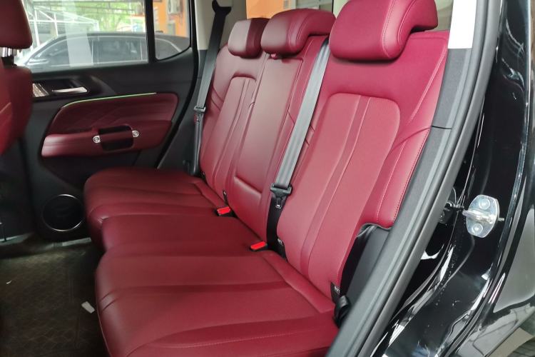 Used Tank 300 2024 2.0T Conqueror