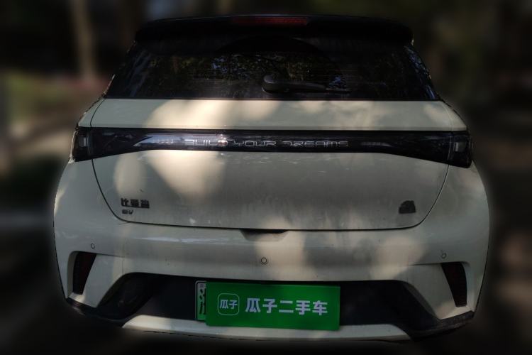 Used BYD Dolphin 2023 420 km Free Version Rear