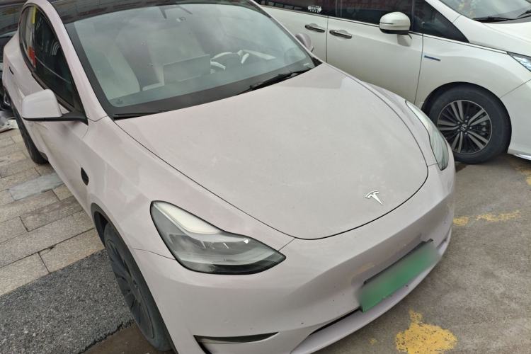 Used Tesla Model Y 2021 Standard Range Rear-Wheel Drive Version Exterior 1