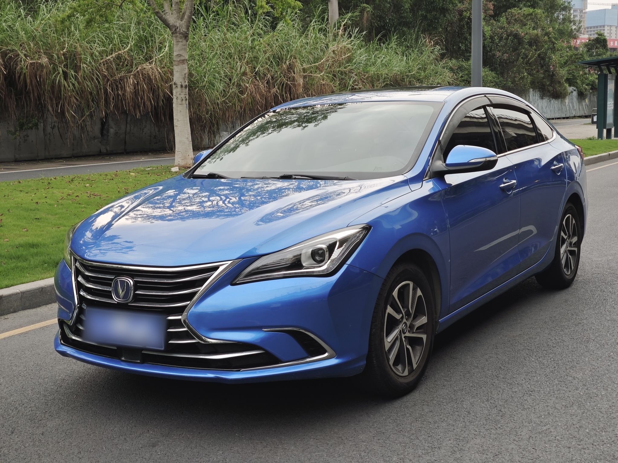 Parte inferior delantera