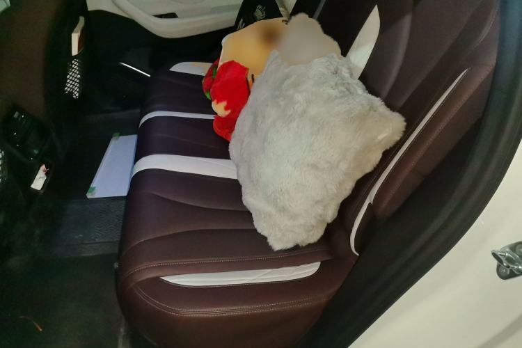 Used Geely Auto Monjaro L 2021 2.0TD DCT EVO Two-Wheel Drive Smart Luxury Version