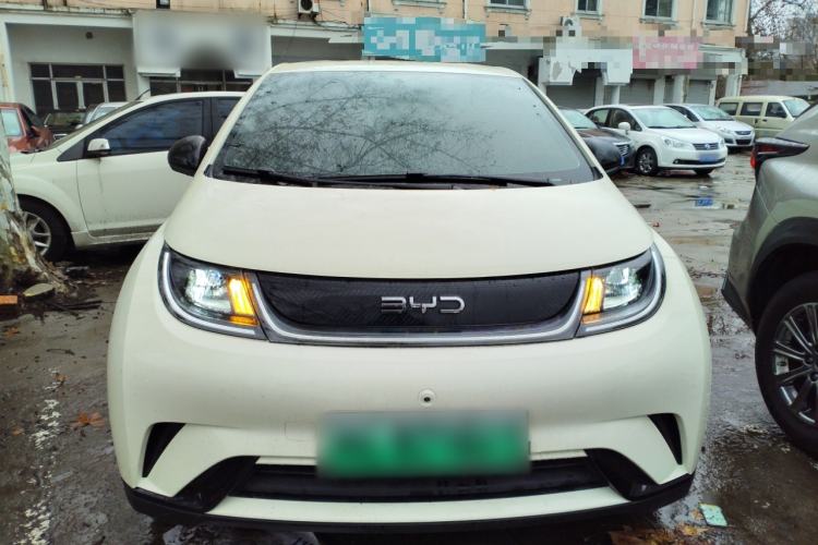 Used BYD Dolphin 2025 420km Free Edition