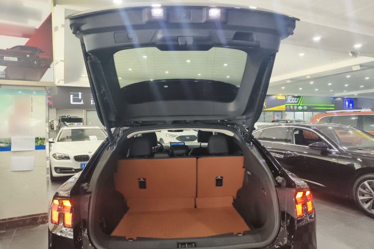 Used Ford Mustang Mach-E 2021 AION Y Plus Rear-Drive Luxury Edition (Long Range)