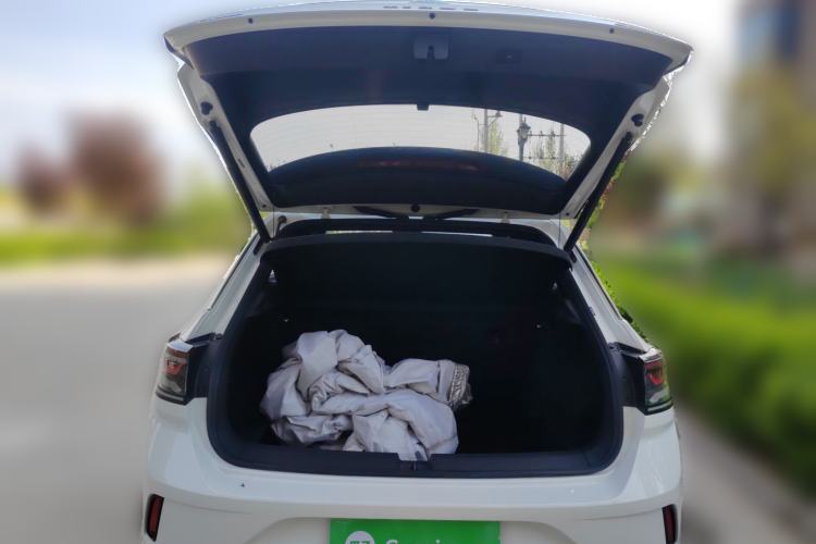 Used Volkswagen T-ROC 2024 300TSI DSG Two-Wheel-Drive Chen Guang Edition