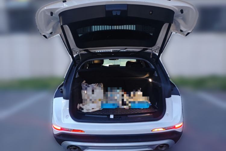 Used Lincoln Corsair 2021 2.0T Two-Wheel-Drive Luxury Edition
