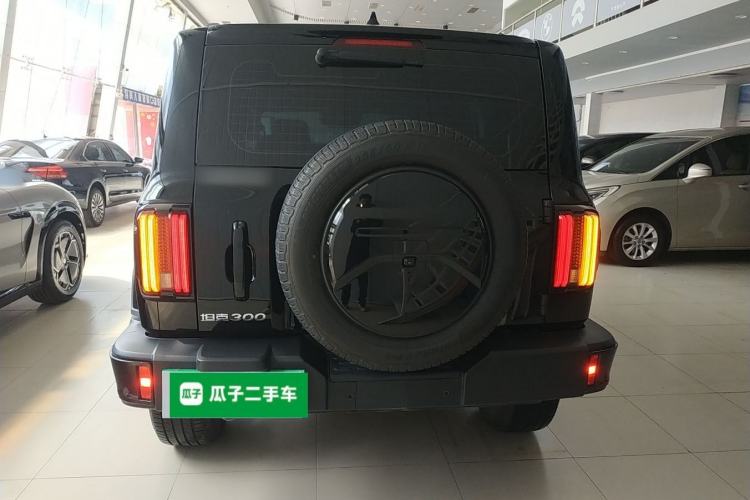 Used Tank 300 2024 2.0T Crosser