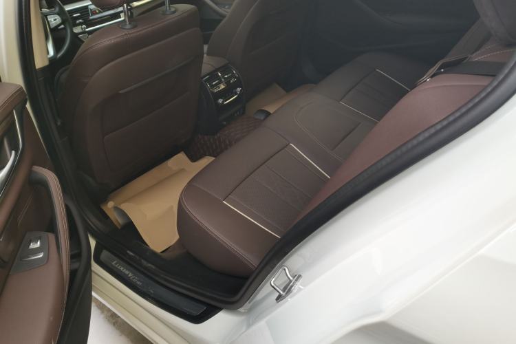 Used BMW 5 Series 2021 530Li xDrive Luxury Package
