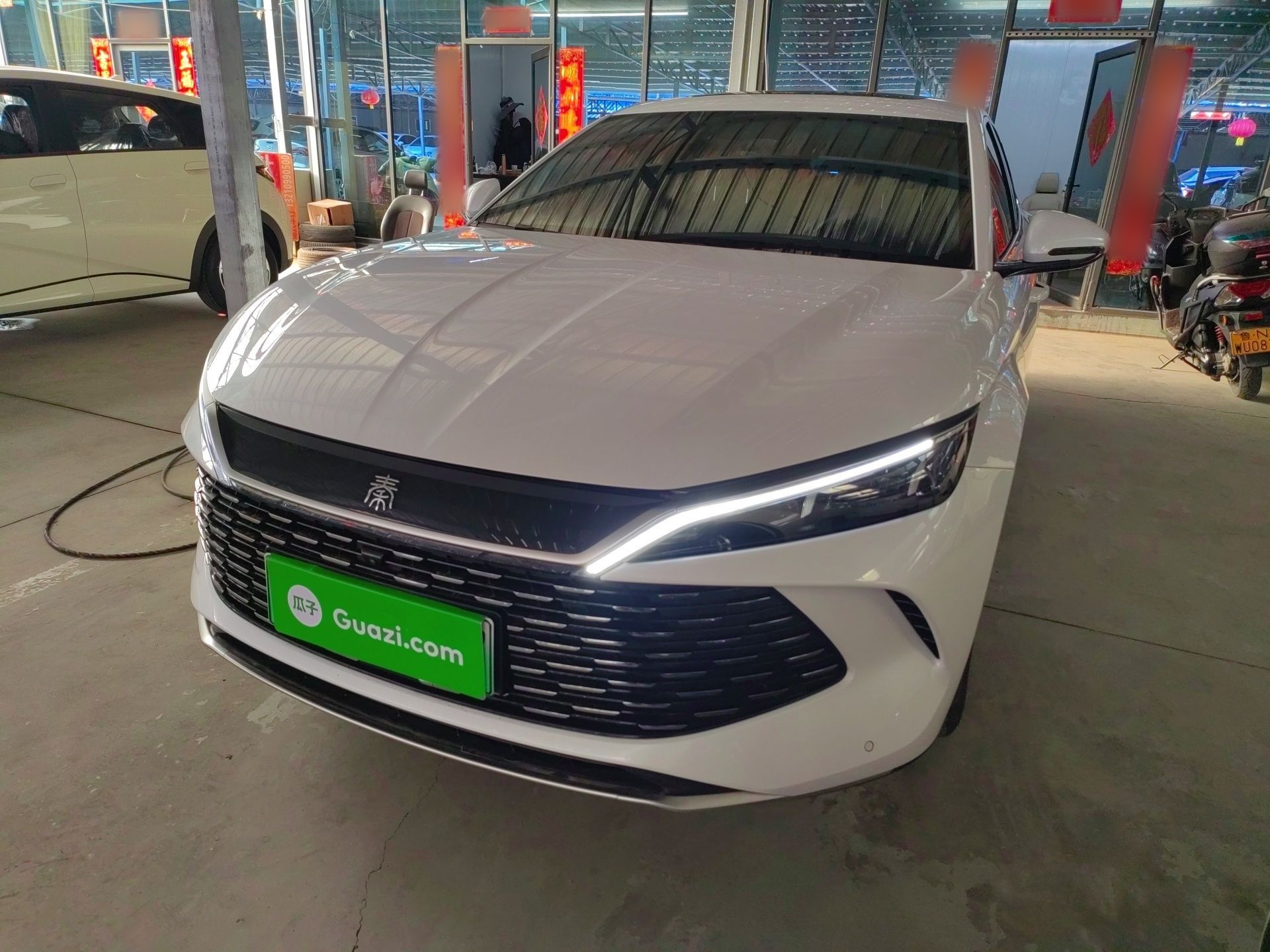 Parte inferior delantera