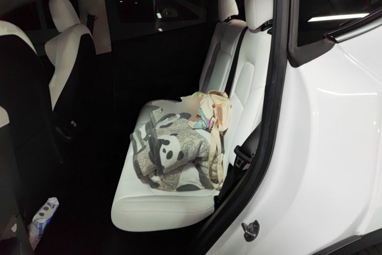 Used Tesla Model Y 2022 Rear-Wheel-Drive Version
