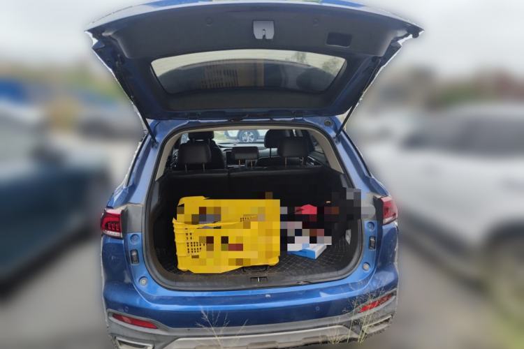 Used GAC Trumpchi GS5 2019 270T Automatic Luxury Edition
