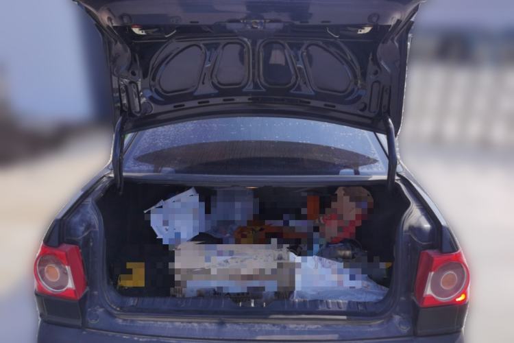 Used Volkswagen Santana Vista 2008 1.8L Manual Comfort Edition Trunk