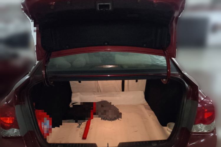 Used Chevrolet Cruze 2013 1.6L SE MT