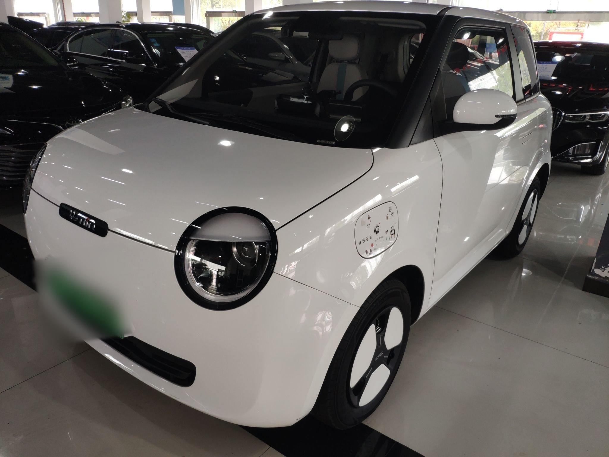 Parte inferior delantera