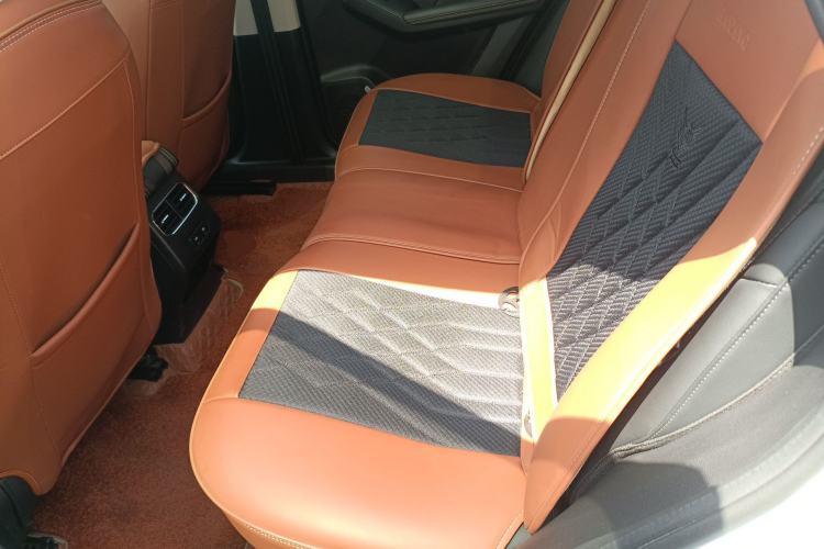 Used Haval LHERY 2022 Jingxiang Edition 1.5T Copper Rabbit Left Rear Seat