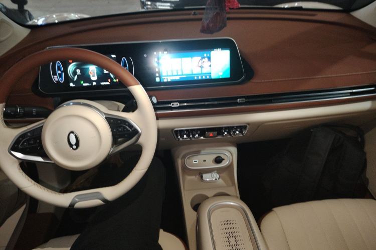 Used ORA Good Cat 2024 401 km Luxury Version Center Console