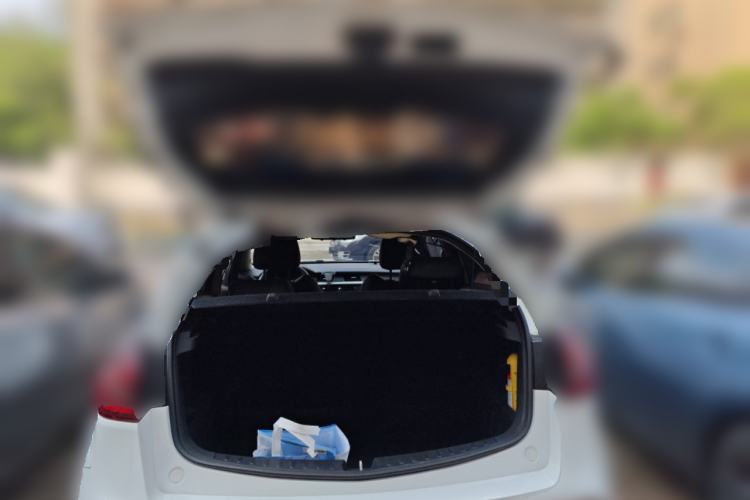 Used Geely Auto Vision X3 2020 1.5L CVT Elite Edition