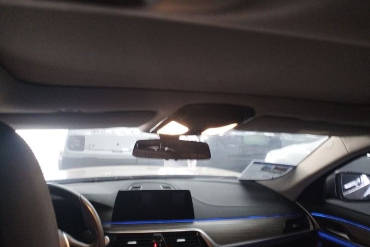 Used BMW 5 Series New Energy 2019 530Le Luxury Package Headliner