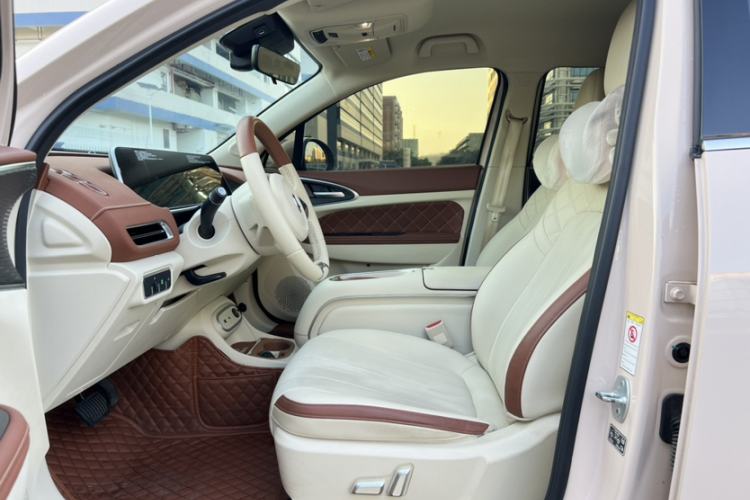 Used ORA Good Cat 2023 401 km Standard Range Luxury Version Lithium Iron Phosphate
