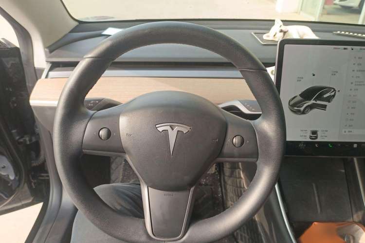 Used Tesla Model 3 2019 Standard Range Rear-Drive Upgraded Version