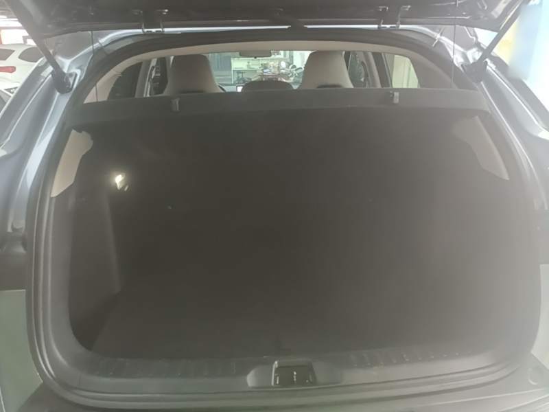 Used BYD Yuan PLUS 2023 Champion Edition 430KM Leading Model — 18