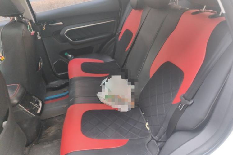 Used Haval H6 2018 Red-Label 1.5T Automatic Luxury Model Left Rear Seat