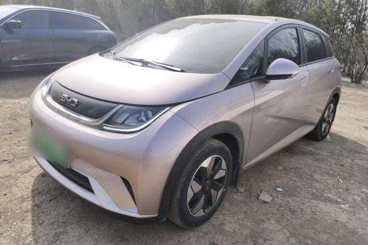 Used BYD Dolphin 2025 420km Free Edition