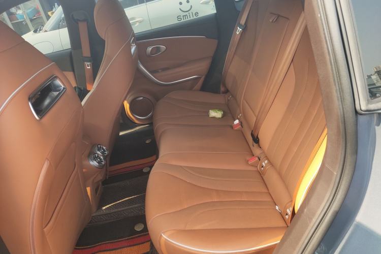 Used ORA Lightning Cat 2022 555 km Luxury Edition Left Rear Seat