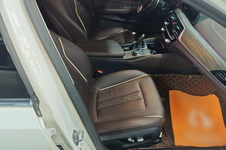 Used BMW 5 Series 2020 530Li Leading Edition Luxury Package