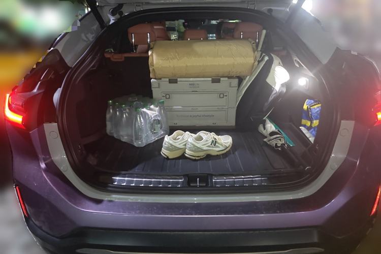 Used Nio EC6 2020 440 km Performance Version