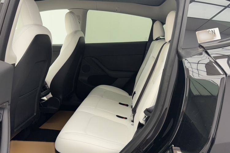 Used Tesla Model Y 2021 Standard Range Rear-Wheel Drive Version
