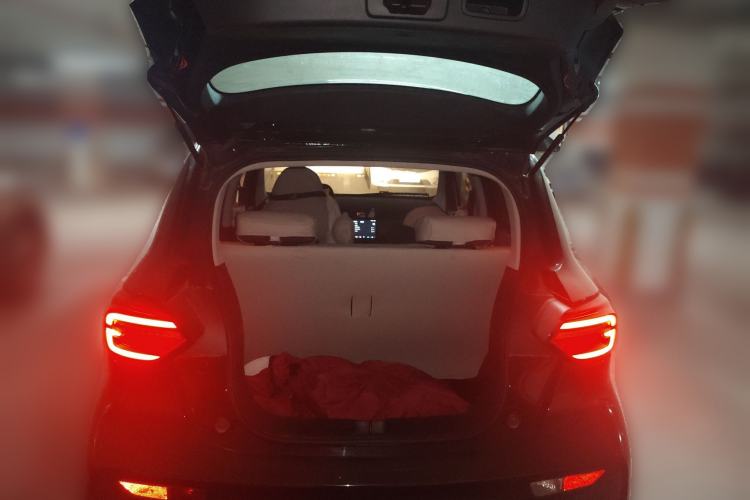 Used Leapmotor T03 2021 400 Lite Edition - Lithium-Ion Battery