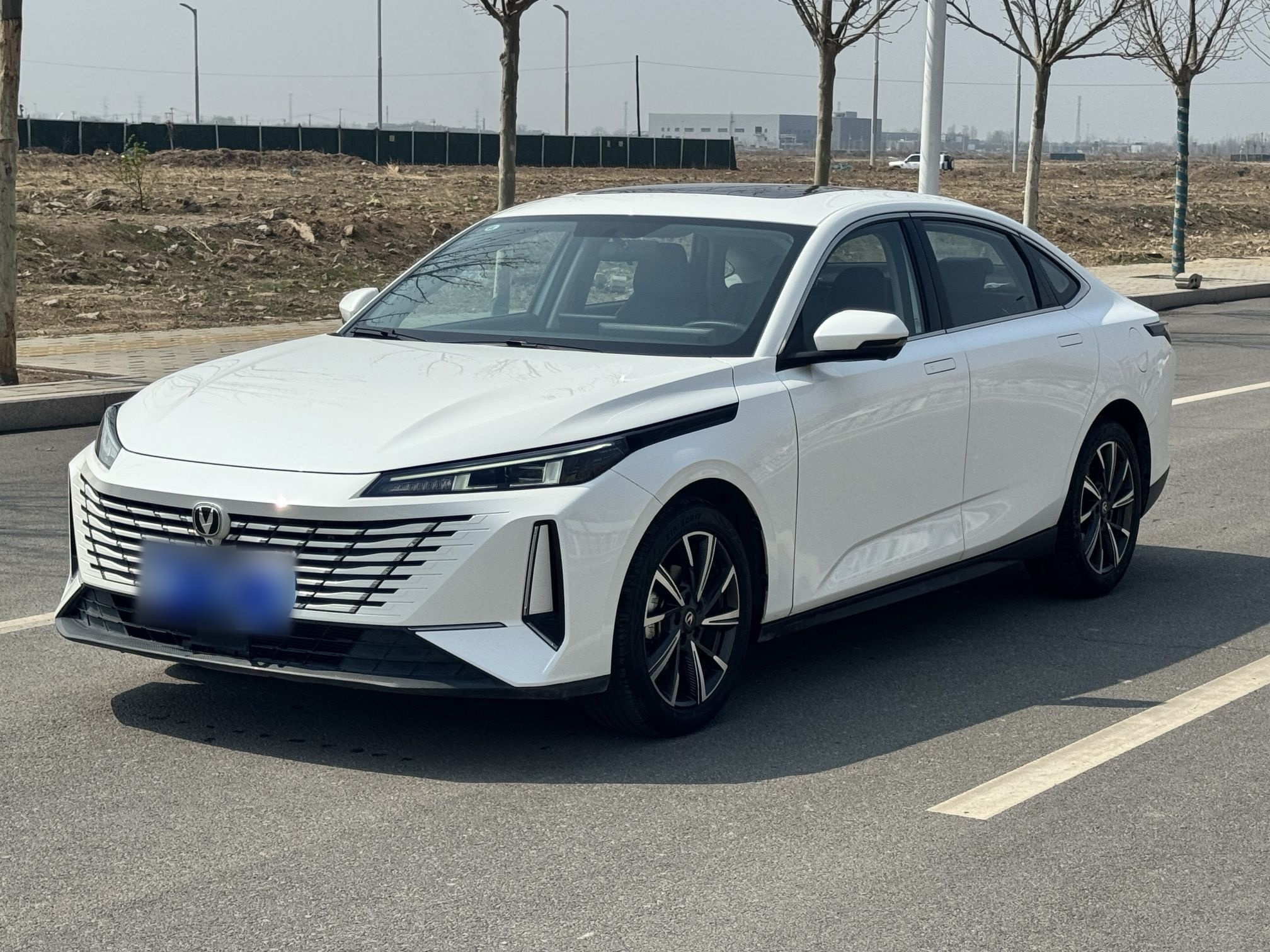 Parte inferior delantera