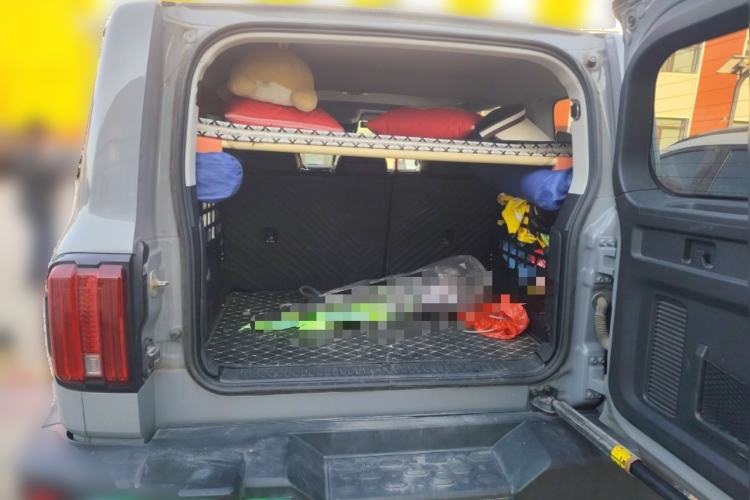 Used Tank 300 2021 Off-Road Edition 2.0T Conqueror