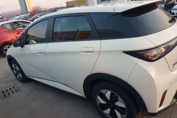 Used BYD Dolphin 2024 Honor Edition 420km Freedom Version