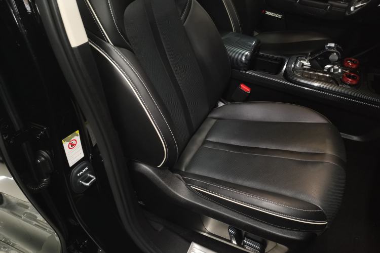 Used Tank 300 2024 2.0T Conqueror
